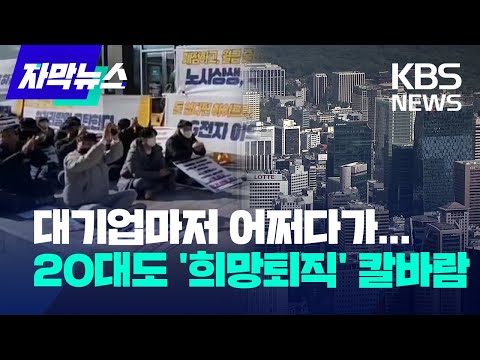 [자막뉴스] 대기업마저 어쩌다가...20대도 희망퇴직 칼바람 / KBS 2022.12.28.