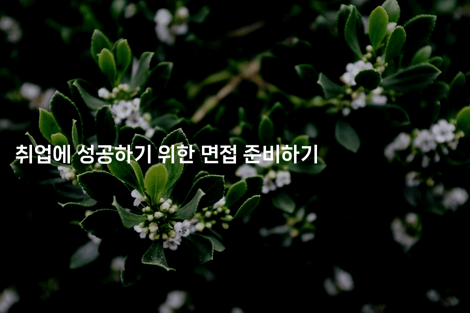 취업에 성공하기 위한 면접 준비하기2-나무꼬