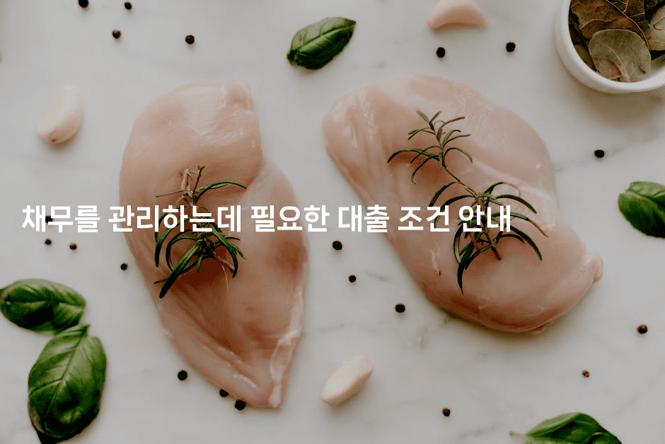 채무를 관리하는데 필요한 대출 조건 안내-나무꼬