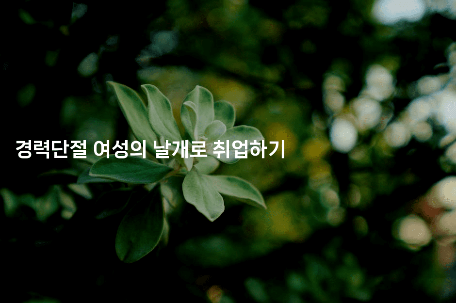 경력단절 여성의 날개로 취업하기-나무꼬