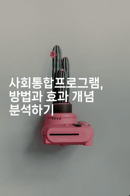 사회통합프로그램, 방법과 효과 개념 분석하기2-나무꼬