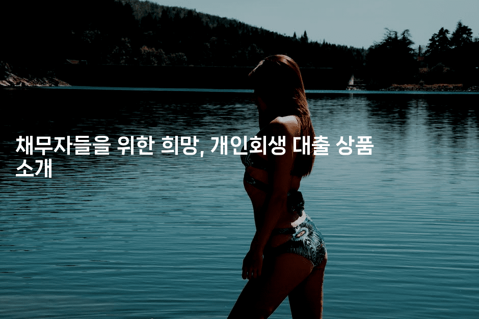 채무자들을 위한 희망, 개인회생 대출 상품 소개-나무꼬