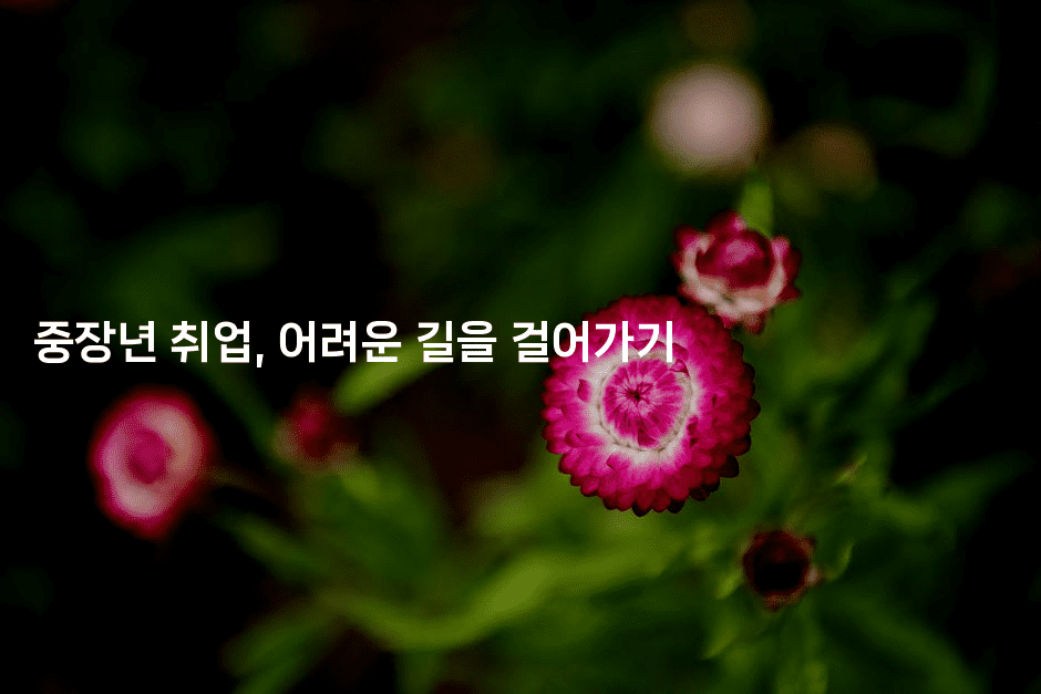 중장년 취업, 어려운 길을 걸어가기-나무꼬