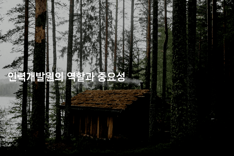 인력개발원의 역할과 중요성-나무꼬