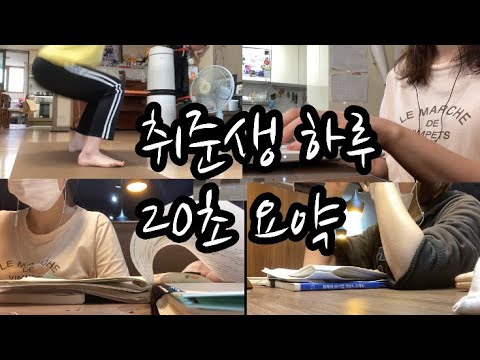 취준생 하루 20초 요약