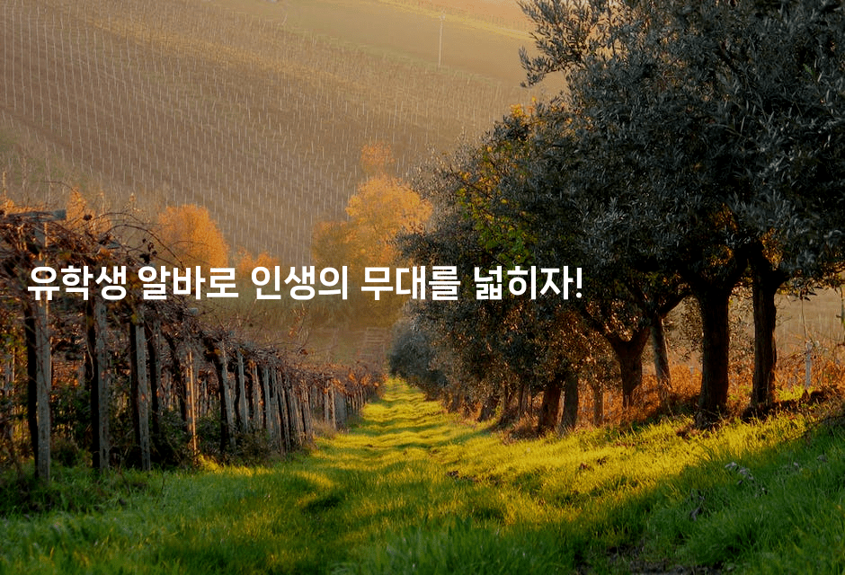 유학생 알바로 인생의 무대를 넓히자!2-나무꼬