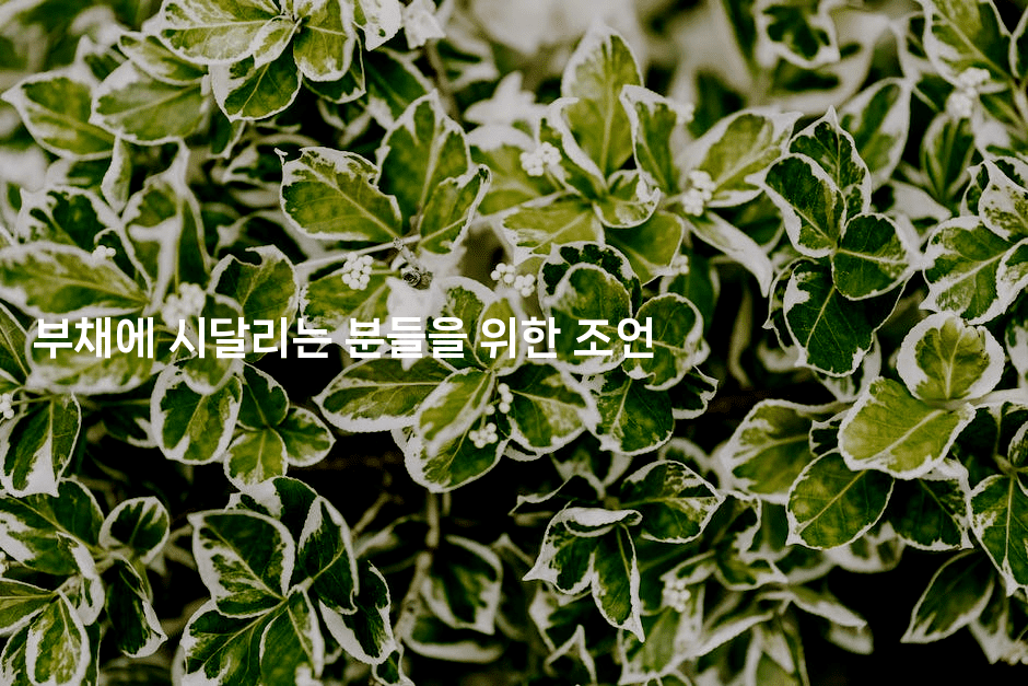 부채에 시달리는 분들을 위한 조언-나무꼬