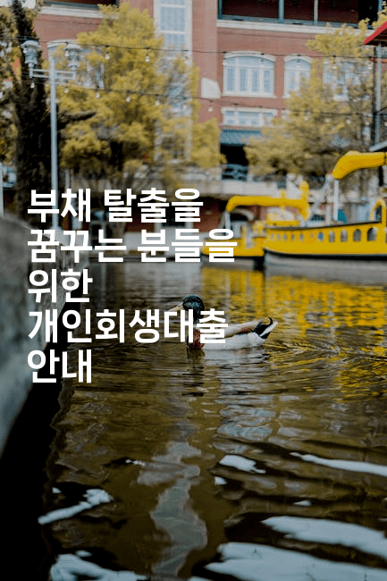 부채 탈출을 꿈꾸는 분들을 위한 개인회생대출 안내-나무꼬