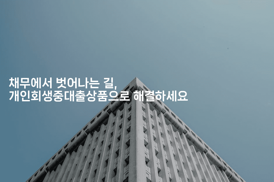 채무에서 벗어나는 길, 개인회생중대출상품으로 해결하세요-나무꼬