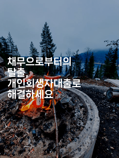 채무으로부터의 탈출, 개인회생자대출로 해결하세요-나무꼬