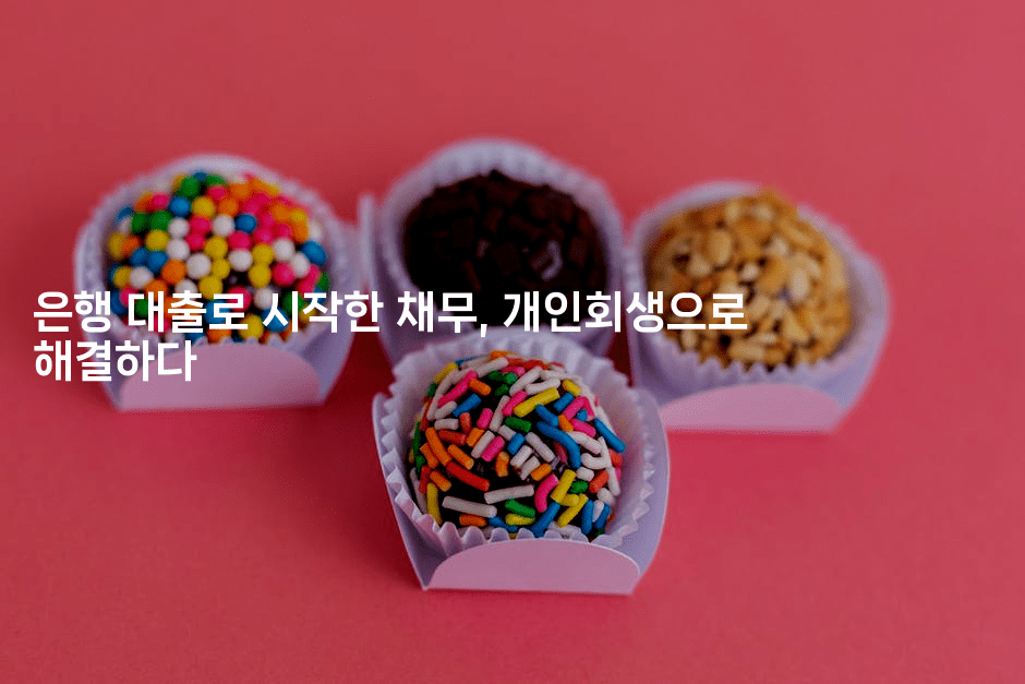 은행 대출로 시작한 채무, 개인회생으로 해결하다-나무꼬